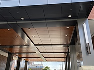 Metal Panel Systems