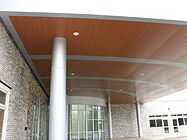 Architectural Canopy